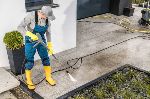 Best House Pressure Washing  in Cotati, CA